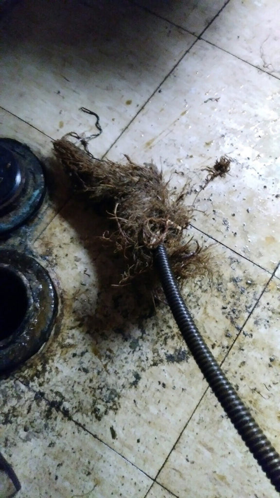 Cable removing root ball